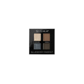 Blueberry Parfait Eyeshadow
Quad